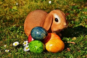 4月のお知らせ