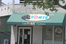 3. TORIEというお店が見えてきます。